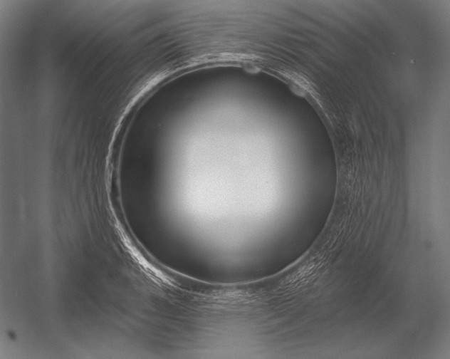 X0000053021135200507221332