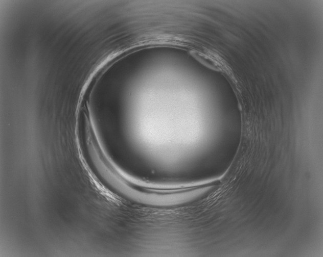X0000053021136200507221332