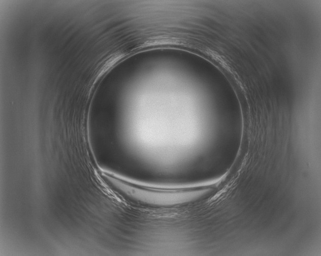 X0000053021137200507221333