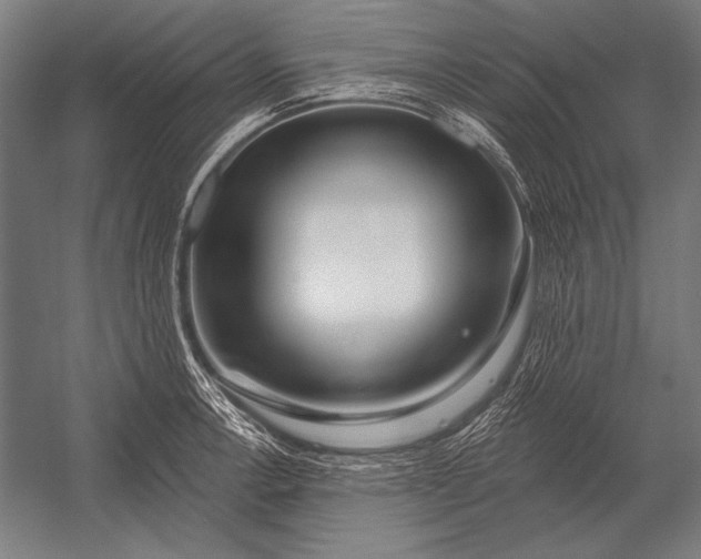 X0000053021138200507221333