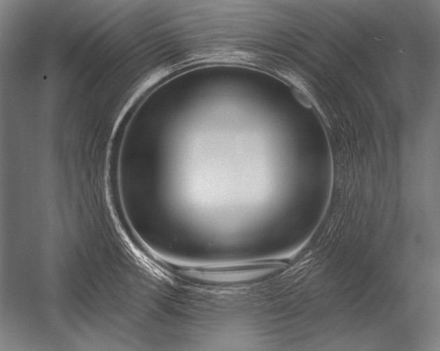 X0000053021139200507221333
