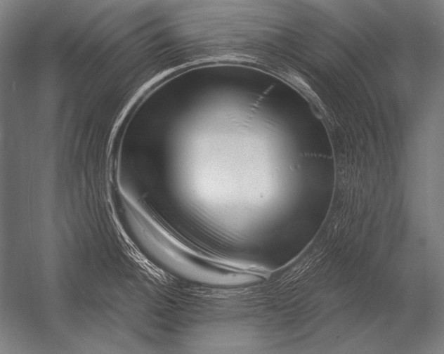 X0000053021140200507221333