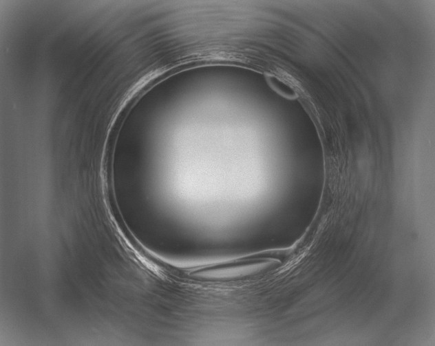 X0000053021141200507221333