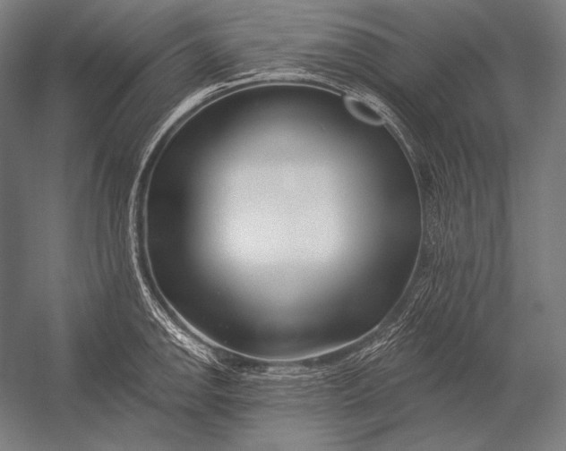 X0000053021142200507221333