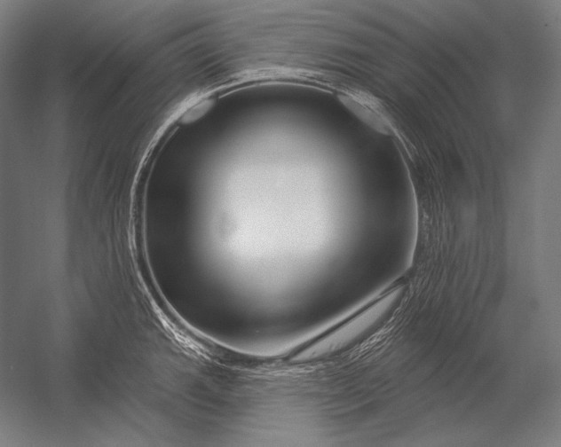 X0000053021143200507221333