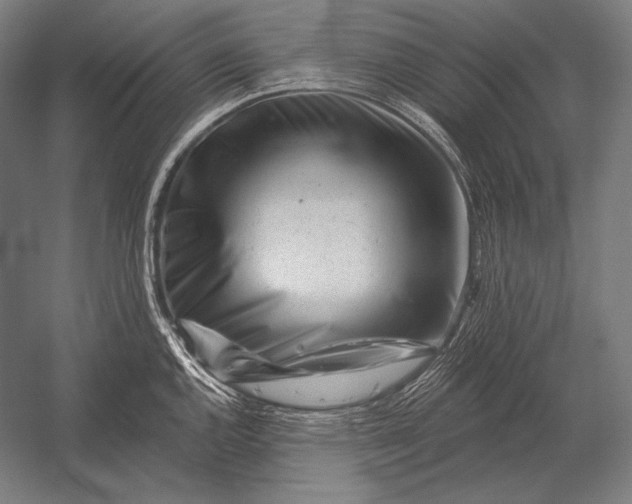 X0000053021144200507221333