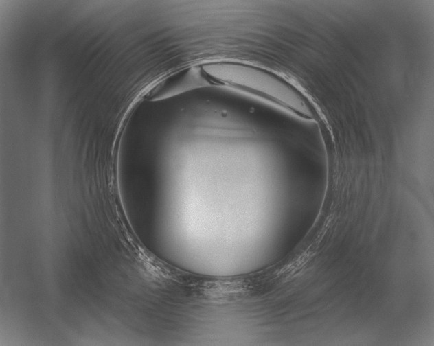 X0000053021145200507221333