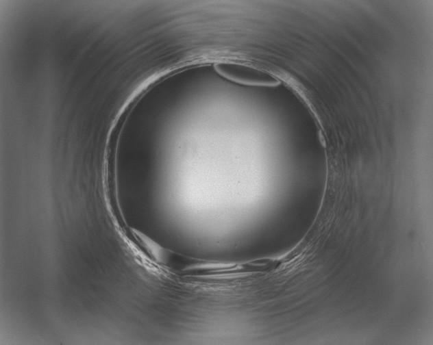 X0000053021147200507221333