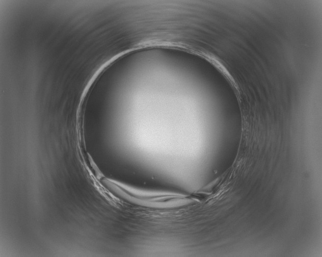 X0000053021148200507221333