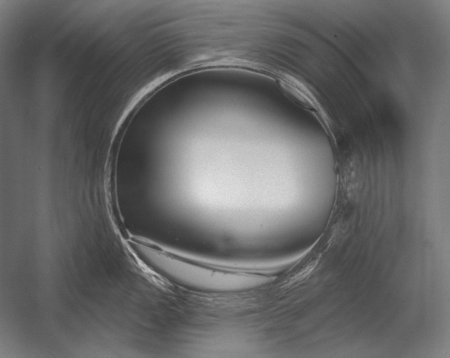 X0000053021149200507221333