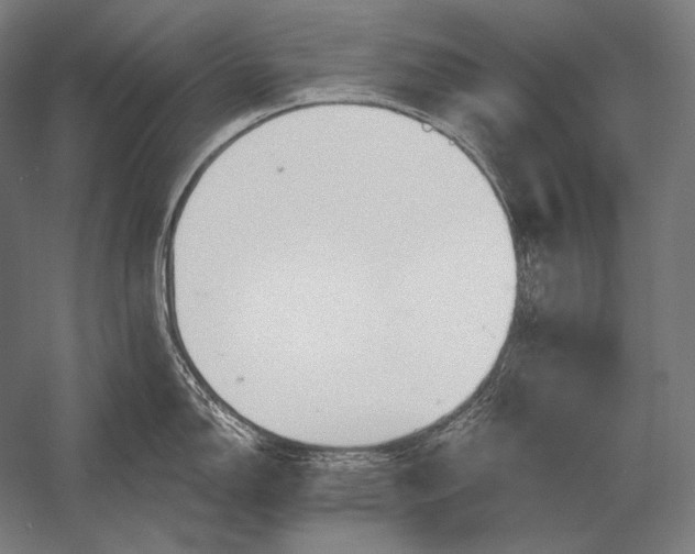 X0000053021150200507221333