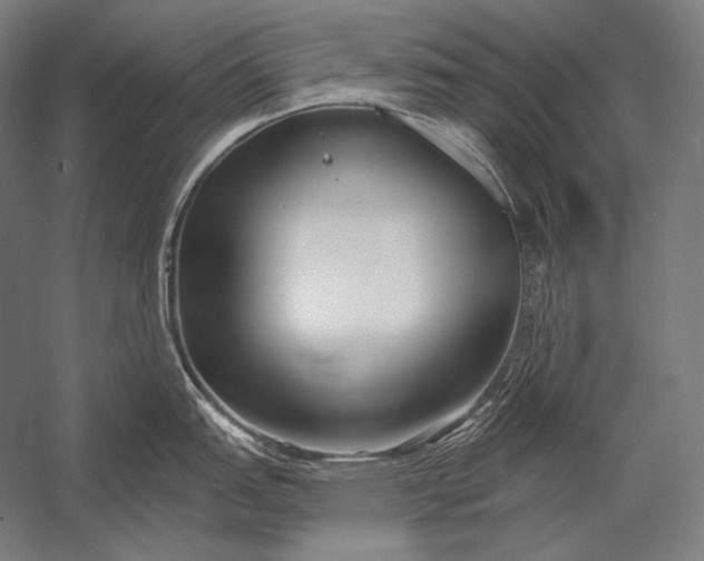 X0000053021151200507221333