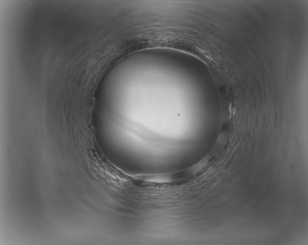 X0000053021153200507221332