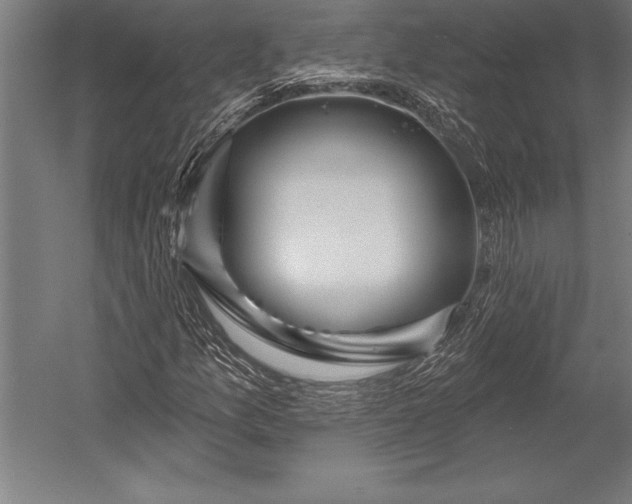 X0000053021157200507221332