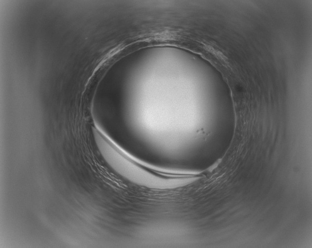 X0000053021160200507221332