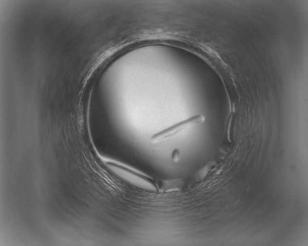X0000053021167200507221332