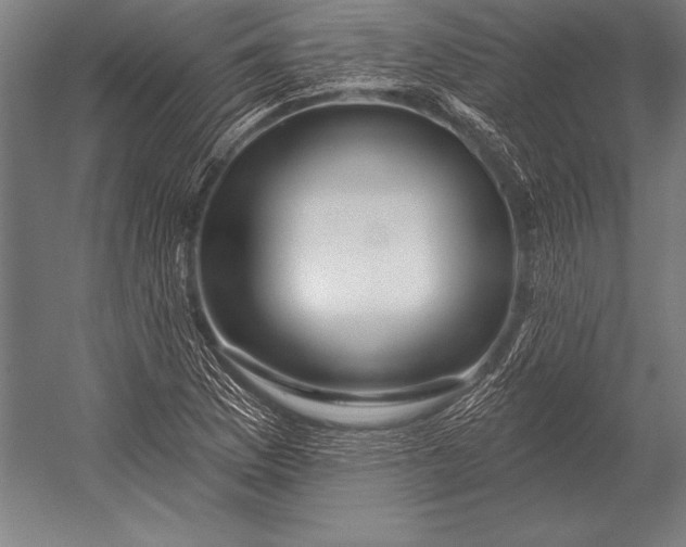 X0000053021169200507221332