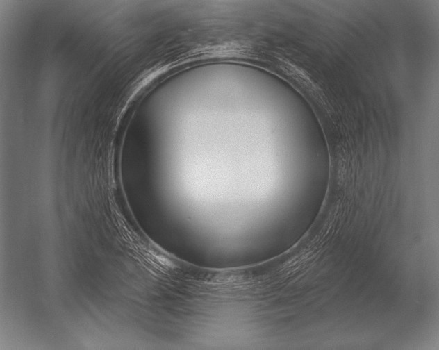 X0000053021174200507221332