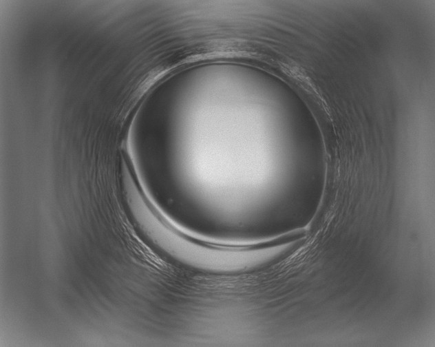 X0000053021177200507221332