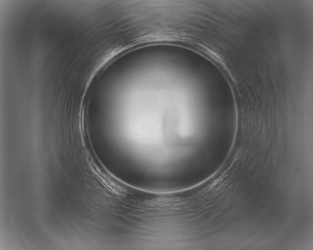 X0000053021179200507221332
