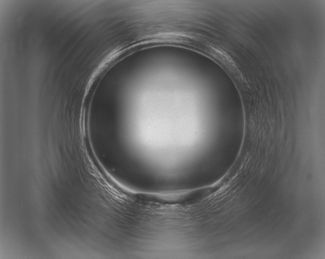 X0000053021180200507221331