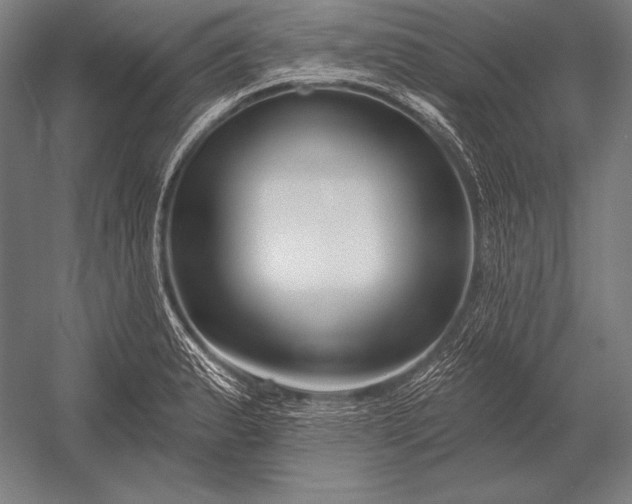 X0000053021183200507221331