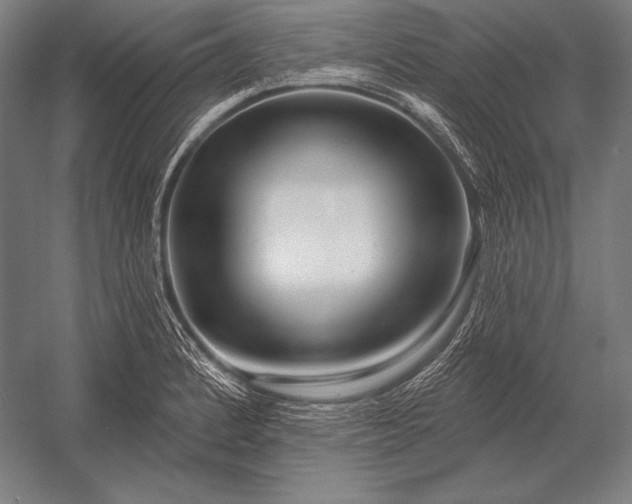 X0000053021184200507221331