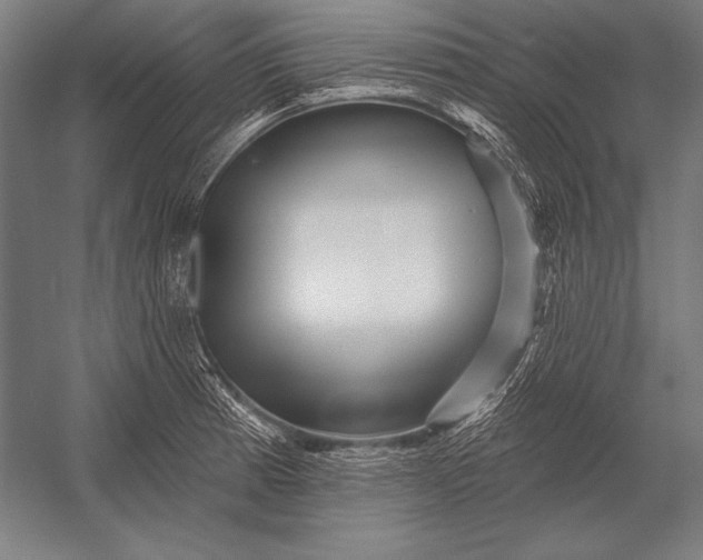 X0000053021185200507221331