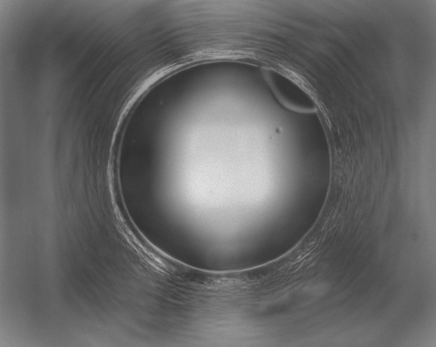 X0000053021187200507221331