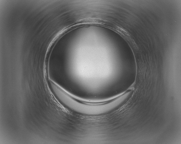 X0000053021188200507221331