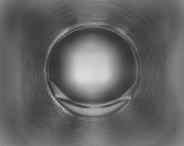 X0000053021189200507221331