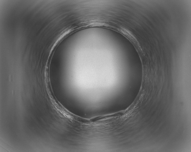 X0000053021190200507221331