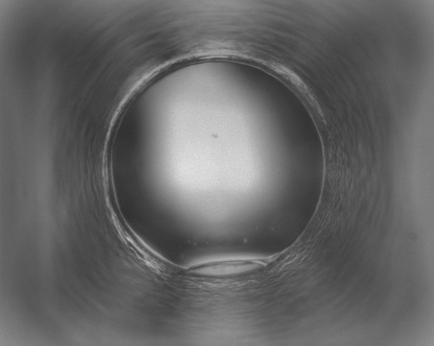 X0000053021191200507221331