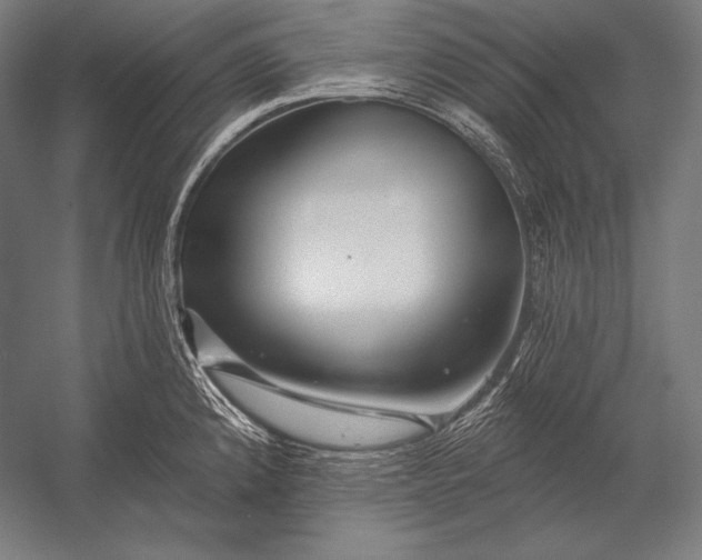 X0000053021192200507221331