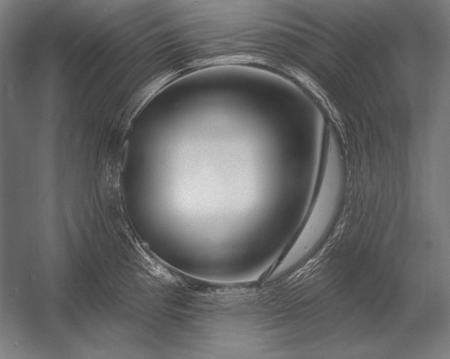 X0000053021193200507221331