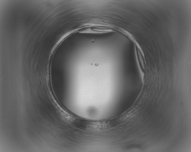 X0000053021195200507221331