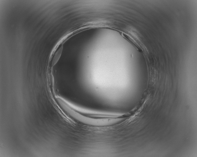 X0000053021196200507221331