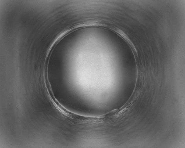 X0000053021197200507221331