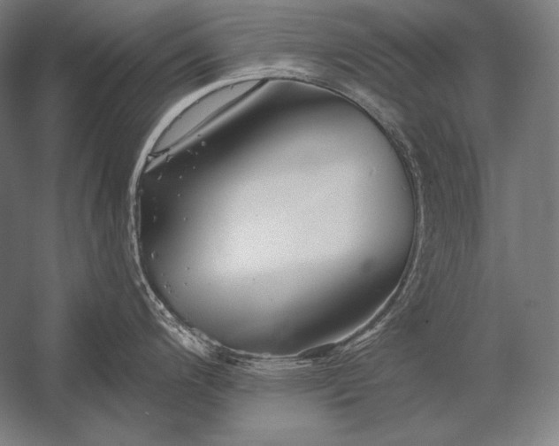X0000053021200200507221331