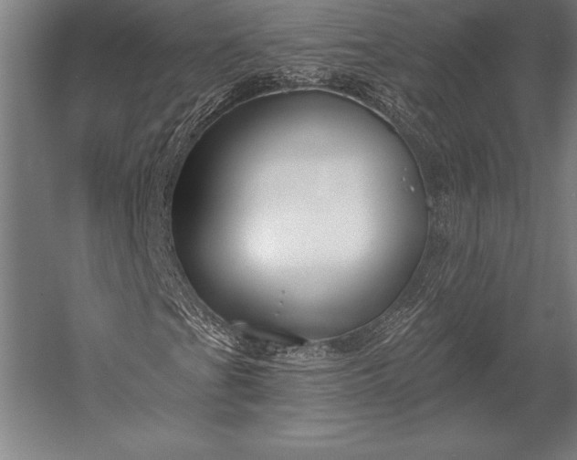 X0000053021201200507221330