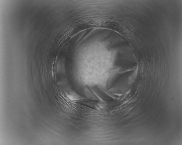 X0000053021202200507221330