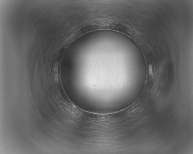 X0000053021203200507221330