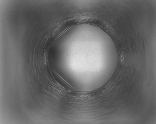 X0000053021204200507221330