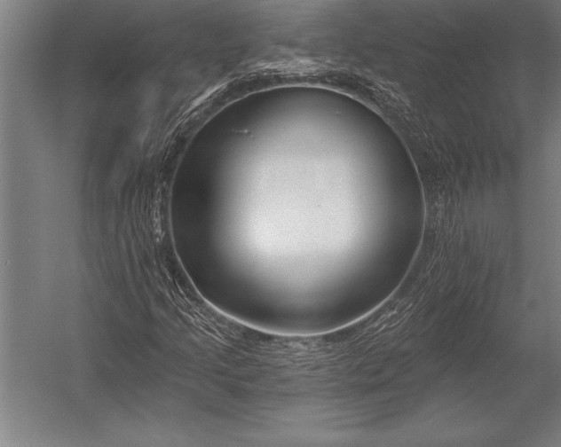 X0000053021205200507221330
