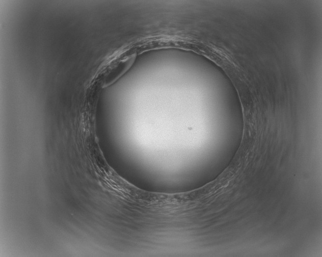 X0000053021207200507221330