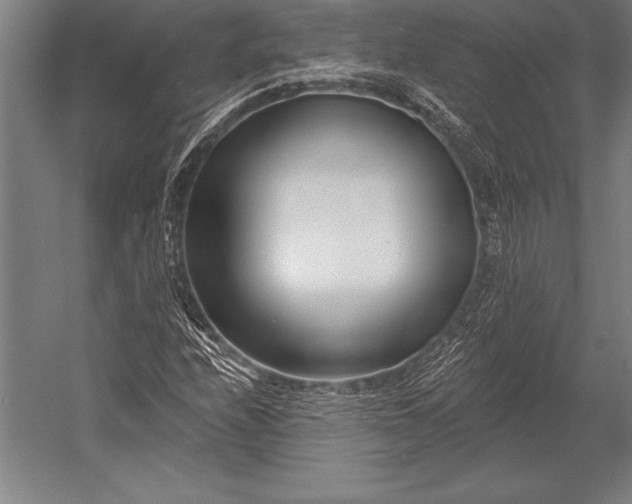 X0000053021208200507221330