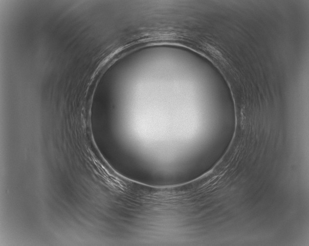X0000053021212200507221331
