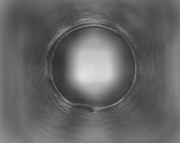 X0000053021215200507221331