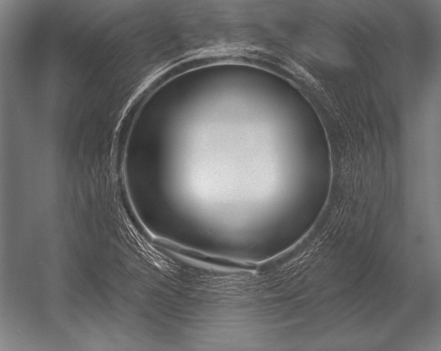 X0000053021216200507221331