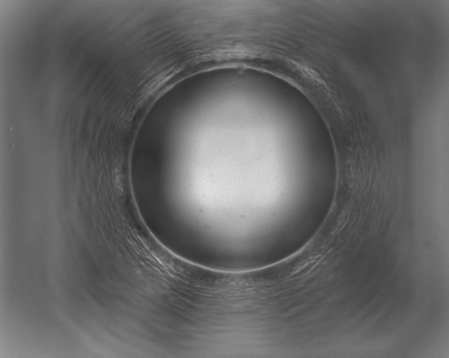 X0000053021217200507221331